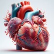 Realistic 3d rendered Image of human heart