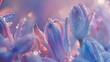 Cold Shimmer: Close-ups reveal the icy chill adorning wildflower bluebell petals in macro shots.