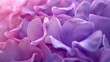 Lavender Serenade: Close-ups capture the delicate lavender tones blending onto wildflower bluebell petals in macro shots.