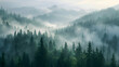 Misty valleys shrouded in early morning haze amid pine forests