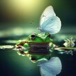 butterfly on a frog