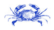 © Наталя Дар - Crab drawn by graphic lines on a light background. Icon for the menu of fish restaurants, markets and shops. Vector blue crab illustration.