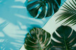 Tropical palm shadow  and tropical  leaves over white paper background. Overhead Summer theme - nature tones flatlay.