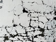 © The Laundry Room/Stocksy - Close up of white paint on dark glass