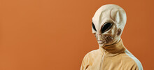 Alien In A Panoramic Web Banner Format