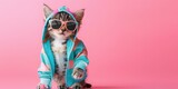 Fototapeta  - Cat wearing sunglasses and trendy fashionable jacket on solid background with copy space