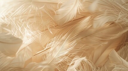 Wall Mural - Soft Beige Feathers Close-Up Texture Background. Close-Up Of Soft Beige Feathers, Creating A Gentle And Soothing Texture, Ideal For Backgrounds Or Calm Themed Designs