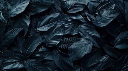 Wall Mural - Textures Of Abstract Black Leaves For Tropical Leaf Background. Flat Lay, Dark Nature Concept, Tropical Leaf