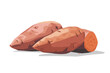sweet potato isolated vector style