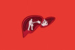 © Yaroslav Danylchenko/Stocksy - Paper man with extinguisher fighting fire in human liver