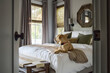 © Ali Harper/Stocksy - Inquisitive dog relaxing in a cozy primary bedroom