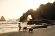 © Luis Herrera/Stocksy - woman walking with her dogs at the beach