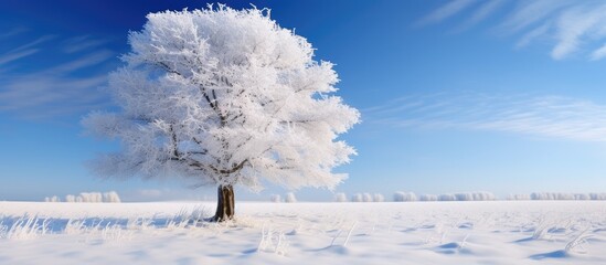 Poster - A lone tree stands in the midst of a vast snowy field. The tree is covered in a layer of snow, contrasting with the white expanse around it.