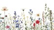 wild flowers at white background , hand drawn botanical illustration, floral background ,generative ai, 