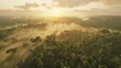 © Muhammad - An early morning scene in the Amazon, with the fog lifting to reveal the lush, green landscape bathed in the soft, warm light of sunrise