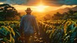 © hisilly - man with hat walking through a coffee field at sunrise
