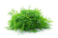 A Bunch Of Green Fennel Is On A White Background. The Fennel Is Fresh And Green, And It Looks Like It's Ready To Be Used In A Recipe