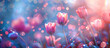 tulips flower spring nature concept background