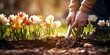 The gardener is planting a flower garden Selective focus nature Person watering pot flowers close up.AI Generative 