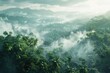An early morning view of a dense jungle valley, shrouded in thick fog. 