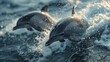 Dolphins leaping joyfully above ocean waves, showcasing freedom and playfulness in their natural habitat
