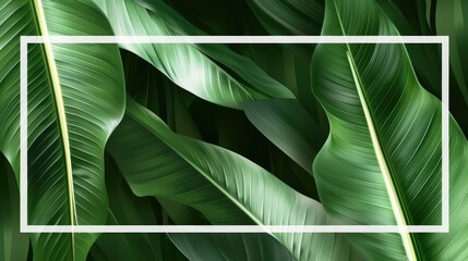 Sticker - Lush Green Tropical Leaves Nature Background