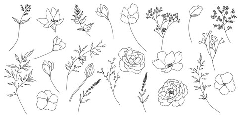Wall Mural - Set of floral elements. Romantic flower collection with flowers, twigs, leaves, herbs and berries. Vector design isolated on white background.
