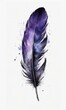 watercolor drawing of a raven feather. Hand drawn illustration isolated on white background.