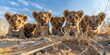 A strange bunch of tiny, inexperienced juvenile lions. Generative Ai