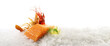 © ExQuisine - Raw Salmon Fillet Steak with Tiger Prawns, Gamba Carabinero and Shrimp on Ice