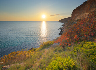 Wall Mural - beautiful spring nature and sea landscape