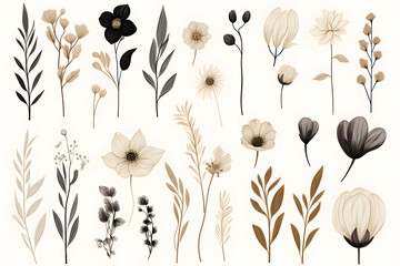 Wall Mural - Collection of hand drawn linear various plants and flowers, minimalist illustration