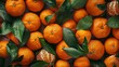 full-frame background of fresh mandarin oranges or tangerines, each piece dotted with lush green leaves
