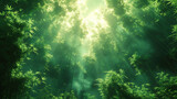 Fototapeta Mapy - Sunlight streaming through a dense bamboo forest