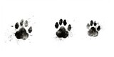 Fototapeta Zachód słońca - A close-up photo of dog's paw prints. Suitable for pet-related designs