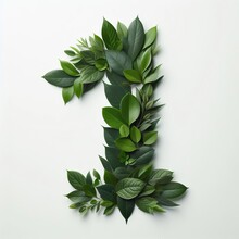 Number. 1 | Fresh Green Leaves. Number One  | Green Leaves, Botanical Harmony. Floral Layout With | Top View. Green. Leaves, Floral Layout Number One, Isolated On A White Background