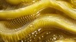  a close - up of a yellow snake skin material that looks like it has a lot of holes in it.