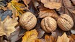  a group of walnuts sitting on top of a pile of leaf covered ground next to a pile of leaves.