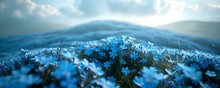 A Hillside Blanketed With Wild Blue Phlox Showcases Natures Carpeting A Seamless Blend Of Colors That Paints The Landscape In Hues Of Blue. Concept Nature, Wildflowers, Hillside, Blue Phlox