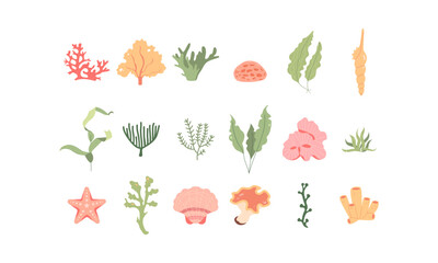 18 hand-drawn vector illustrations of seaweed, coral, shells. Marine flora