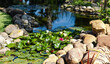 A small pond with water lilies is surrounded by large stones around the edge in Elviria district, Marbella, Spain.