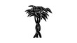 Money Tree, black isolated silhouette