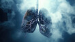 Smoking Hazards: Examining the Relationship Between Smoke and Lung Health
