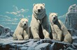 Family of polar bear's out in the cold arctic wild staring at the camera 