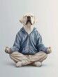 Dog in Padmasana, Yoga Lotus Pose Practicing Mindfulness