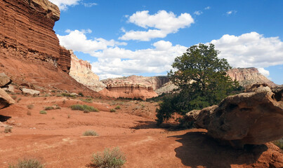 Poster - Chimney Rock Loop, Capitol Reef National Park, Utah, United States