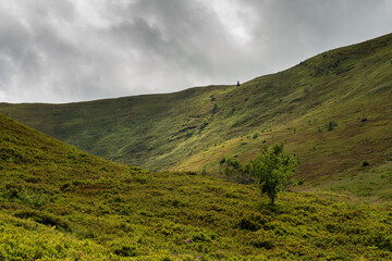 Sticker - summer landscape in the mountains