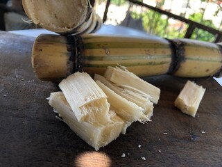 Sugar cane cut into pieces on wooden board with copy space