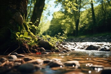 Wall Mural - A serene stream flowing through a vibrant forest. Ideal for nature and outdoor-themed designs