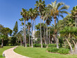 Beautiful garden with tall palm trees on blue sky background and trimmed green lawns with tiled paths in Elviria, Marbella. Spain.